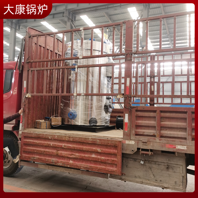 燃生物质蒸汽锅锅炉