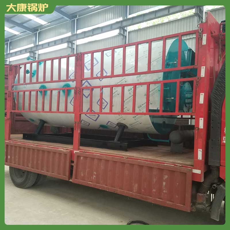 烧生物质的锅炉